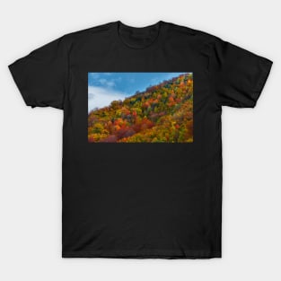 Colorful autumnal landscape T-Shirt